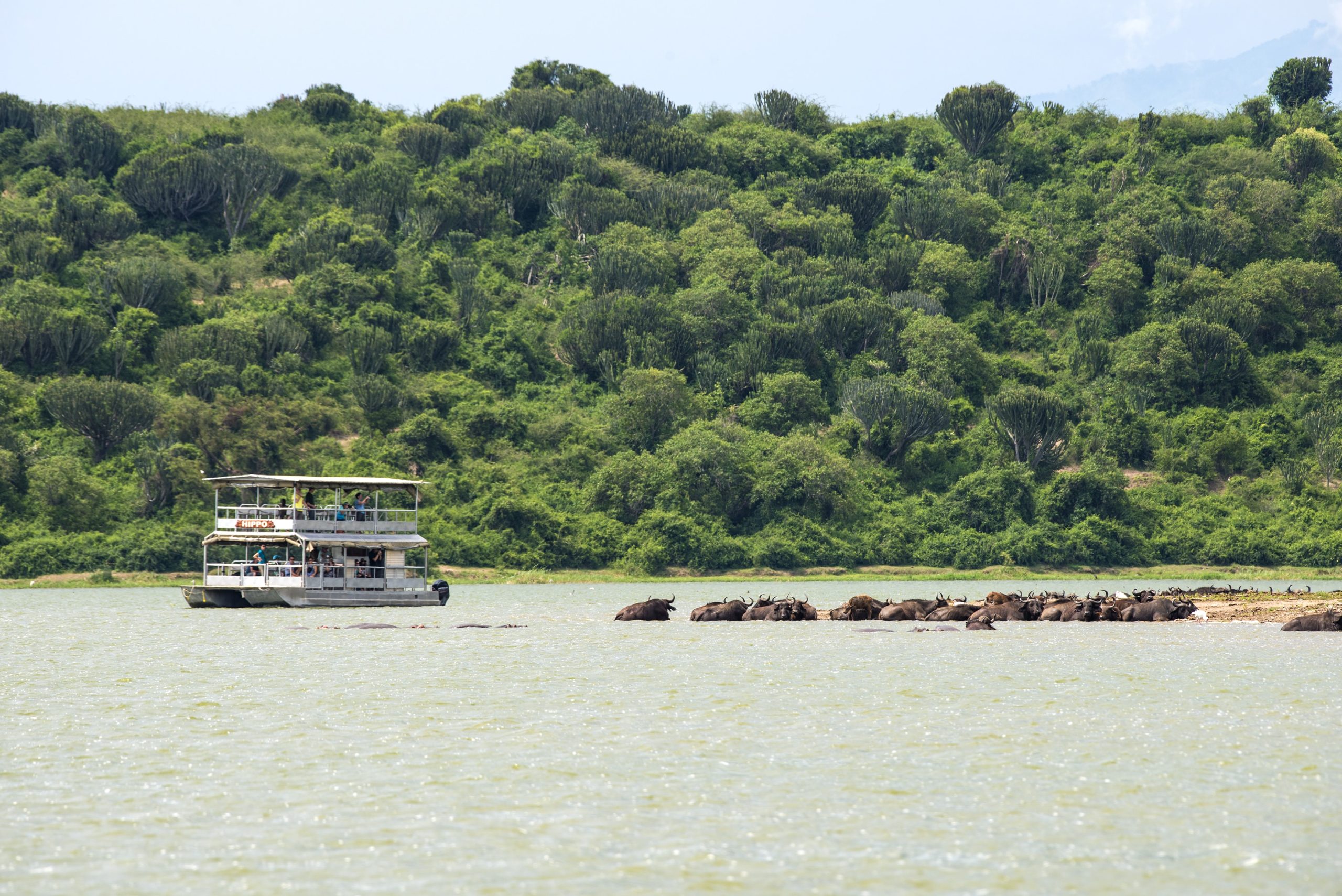 54 Queen Elizabeth National Park Kazinga Channel RF DSC 3559 copie scaled - Ganders Travel