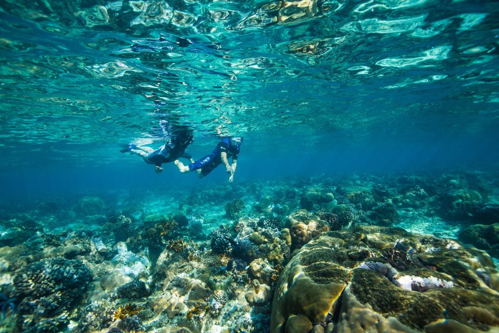 AZURA RETREATS Azura Benguerra Snorkeling in clear waters Scott Ramsay - Ganders Travel