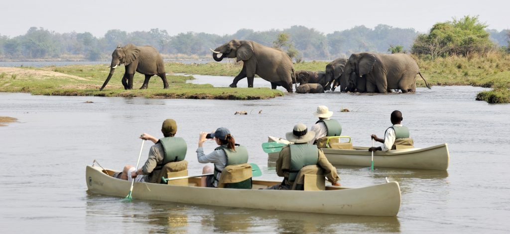 CHIAWA SAFARIS Canoeing - Ganders Travel