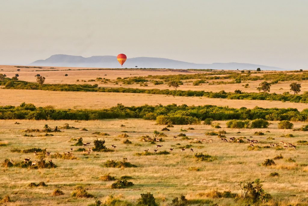 THE SAFARI COLLECTION Salas Camp Epic balloon safari - Ganders Travel
