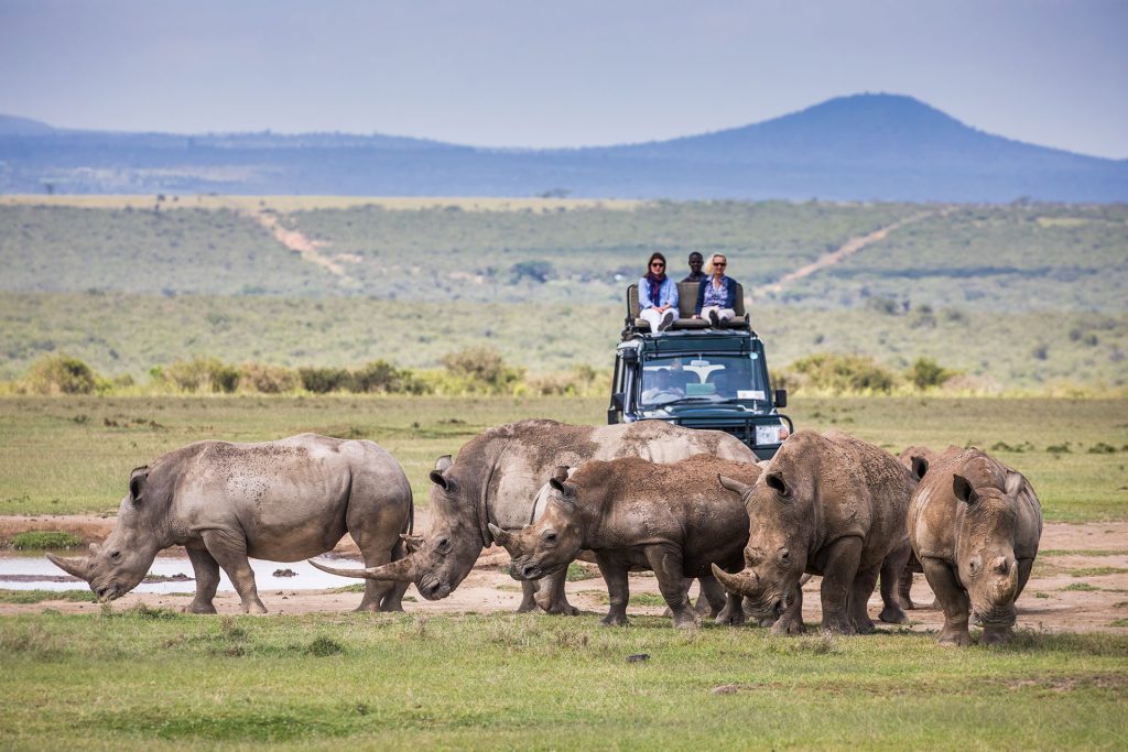 THE SAFARI COLLECTION Solio Lodge Ideal first stop on safari Scott Ramsay - Ganders Travel