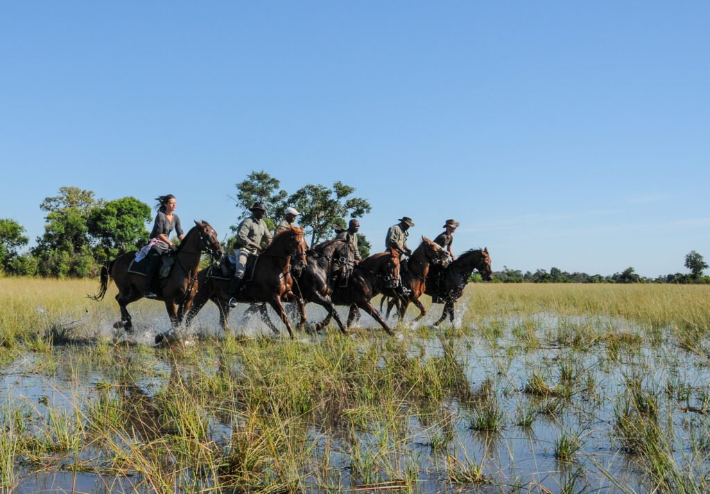 AHBS Riding 22 - Ganders Travel