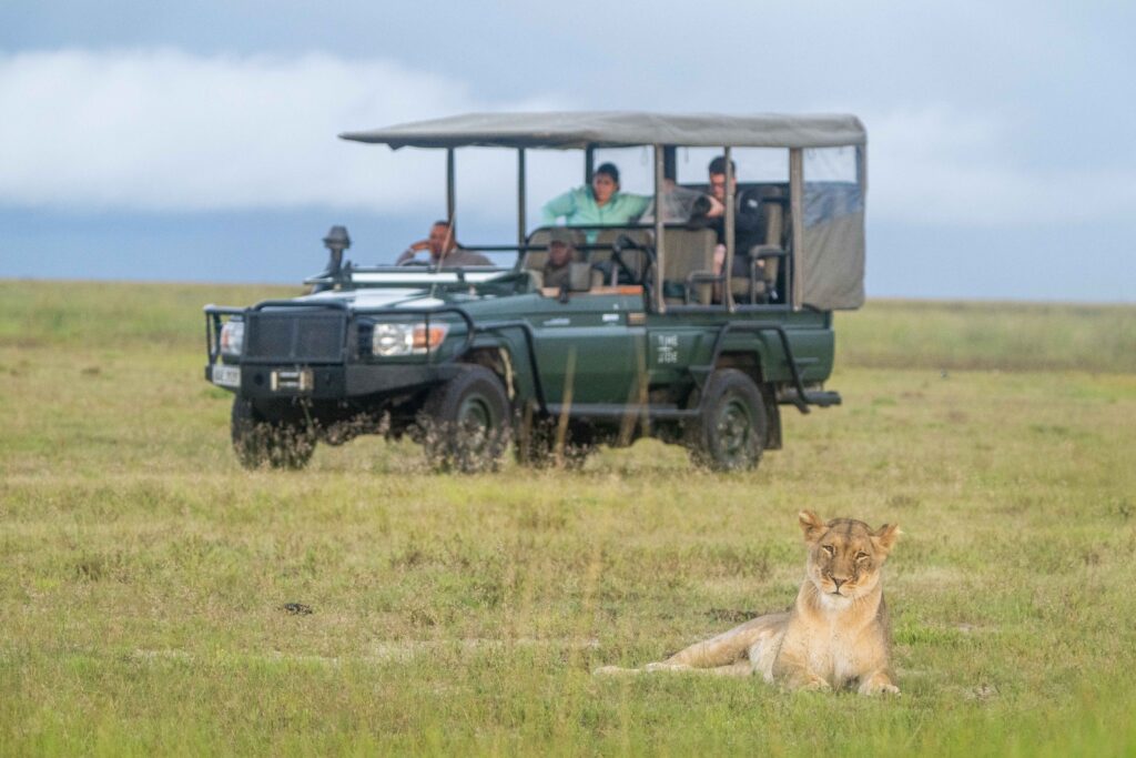 Time Tide King Lewanika Game Drive 4 - Ganders Travel