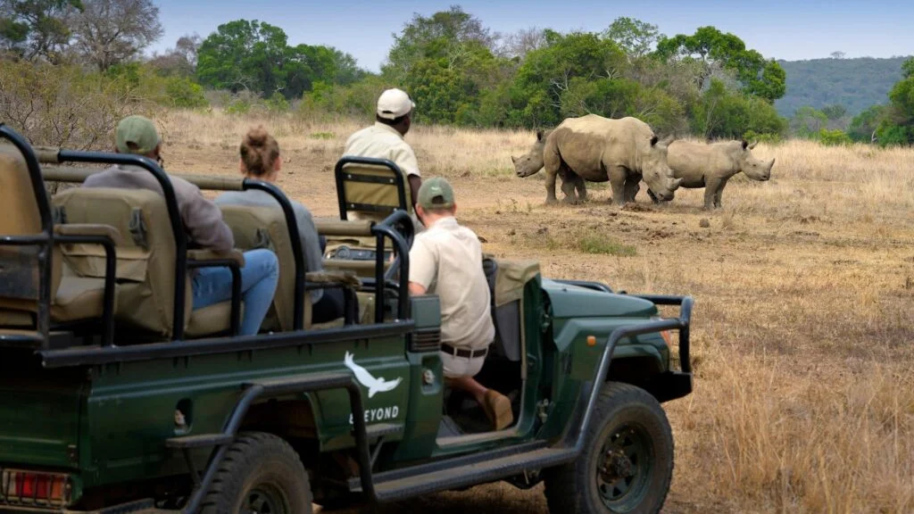 Safari from AndBeyond Phinda Forest Lodge, KwaZulu Natal.