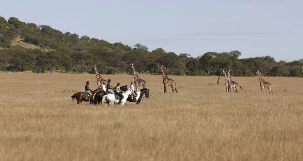 Wildlife viewing on a ride, Ol Donyo Lodge, Chyulu Hills