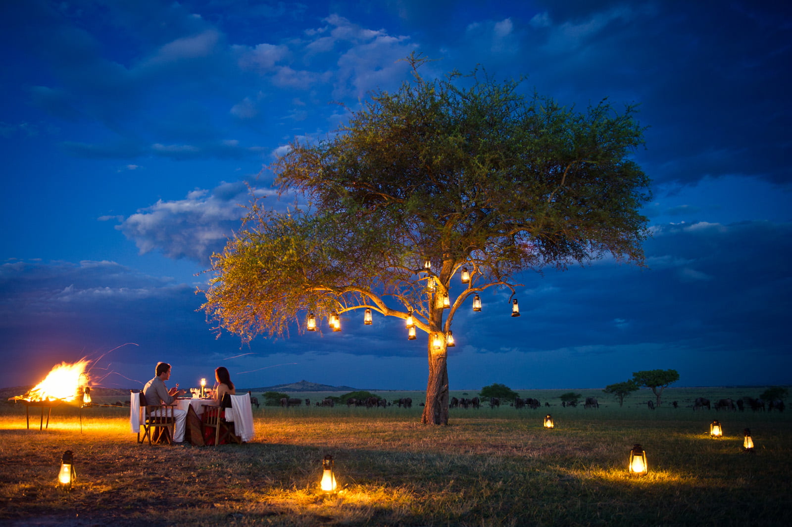 Romantic honeymoon dinner in the Serengeti