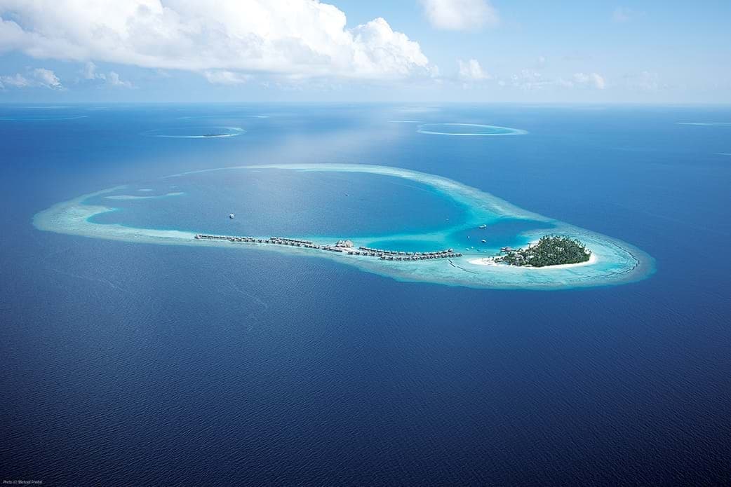 House Reefs of the Maldives : 6 of our Favourites