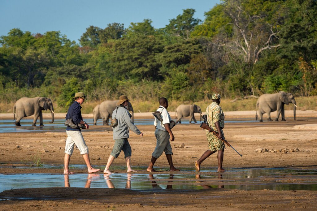 THE BUSHCAMP COMPANY walking in tow - Ganders Travel