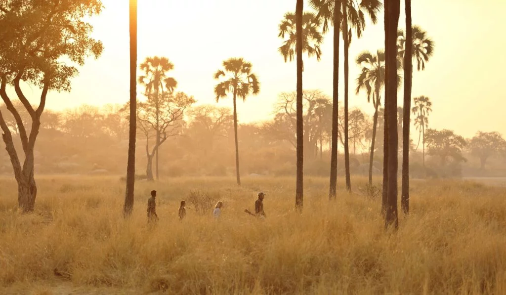 Getting Active in Africa / Ikuka Camp, Ruaha National Park, Tanzania