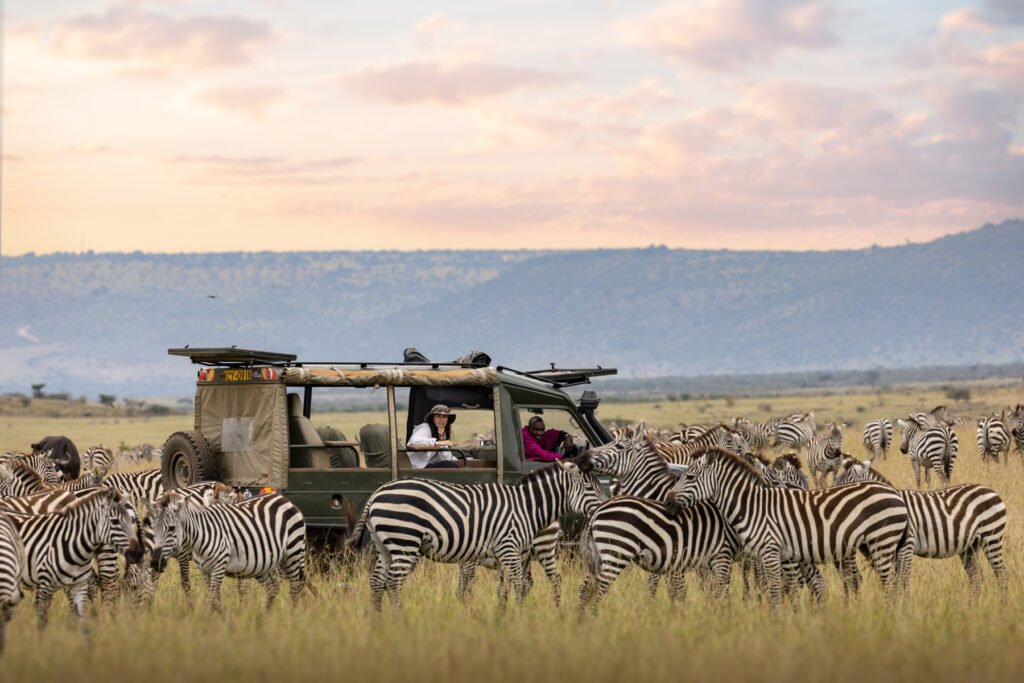 Masai Mara Conservancies : A Wildlife Haven