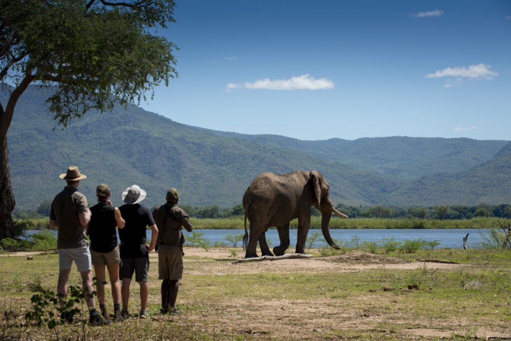 Christmas Safari : Special Offers