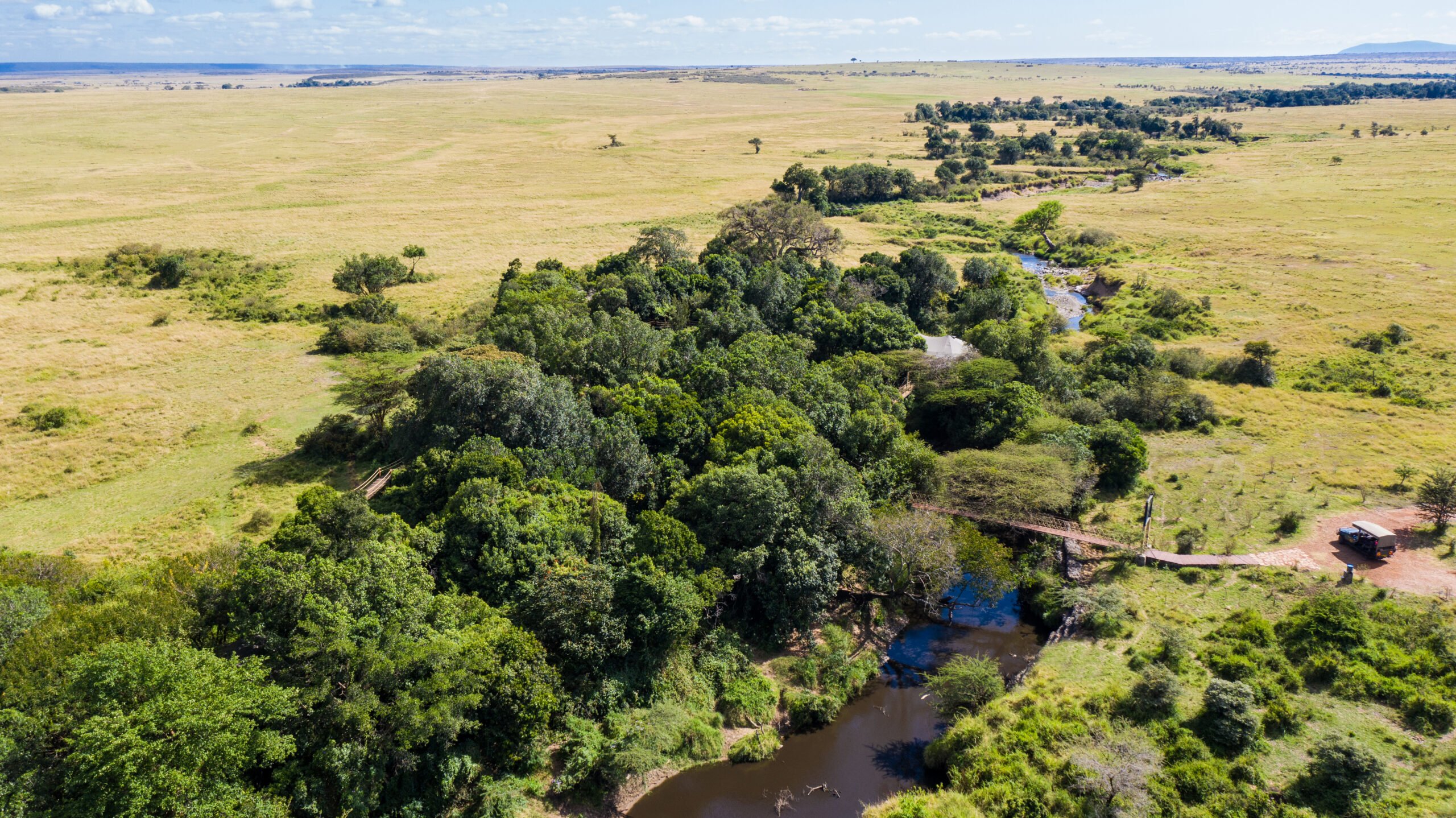 Masai Mara Conservancies : A Wildlife Haven