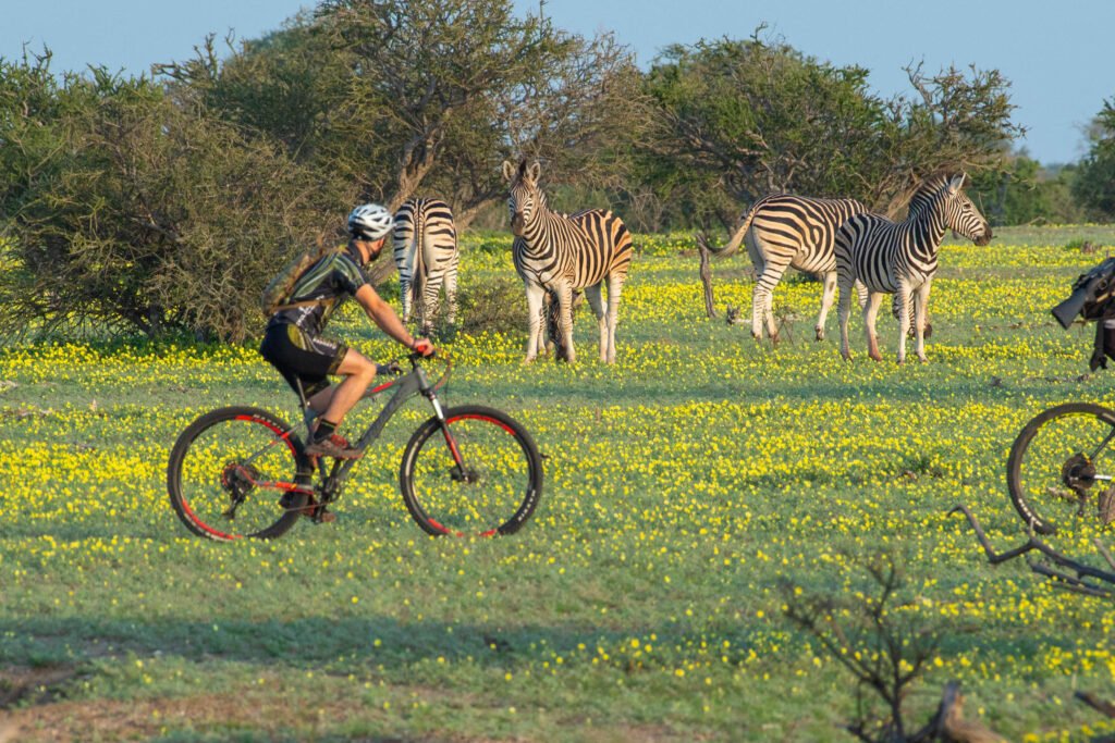 Travel Trends / Getting Active in Africa