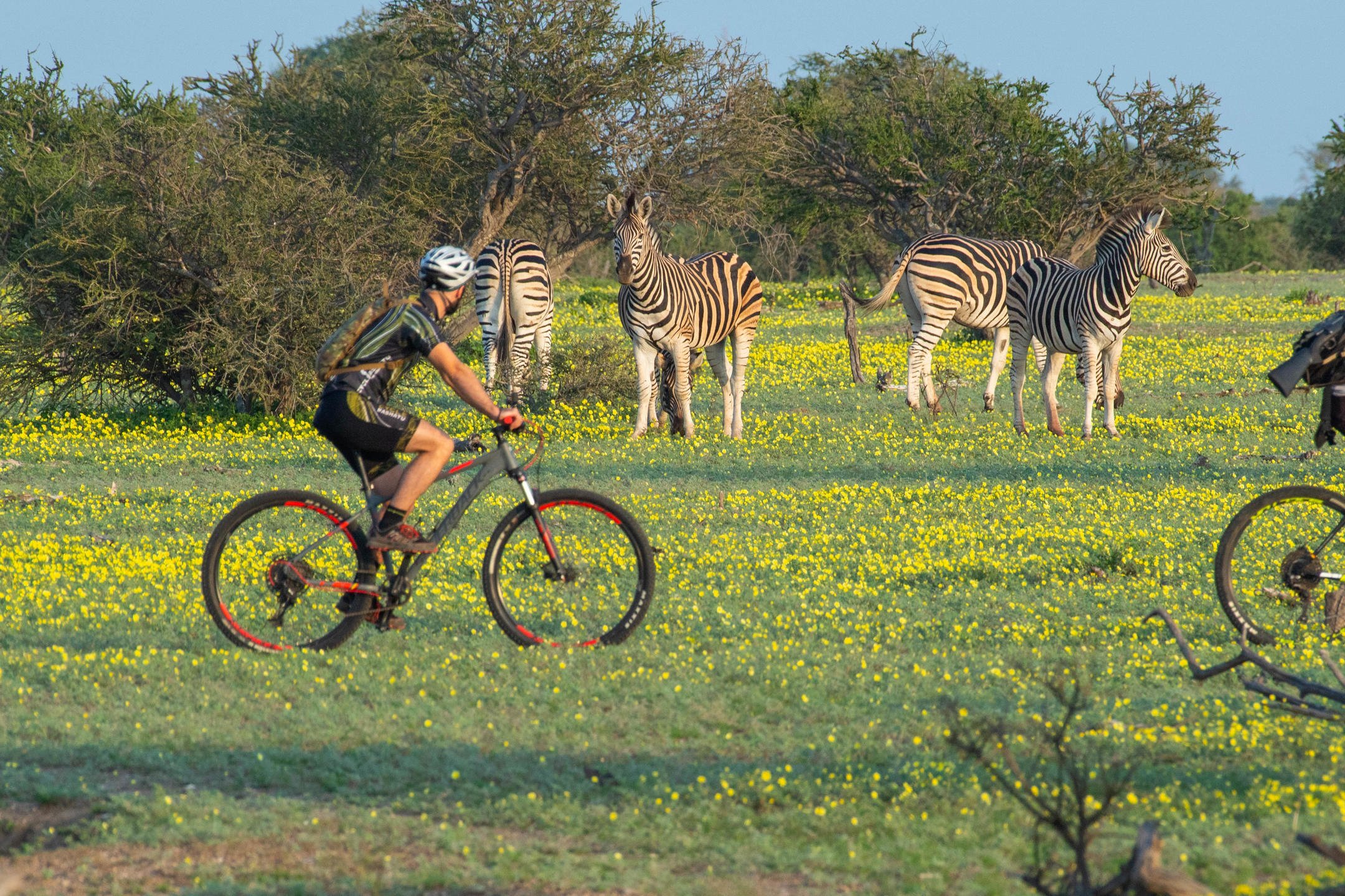 Getting Active in Africa