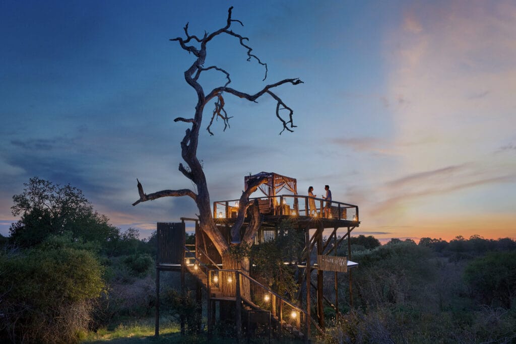 1 Chalkley Treehouse 11 - Ganders Travel