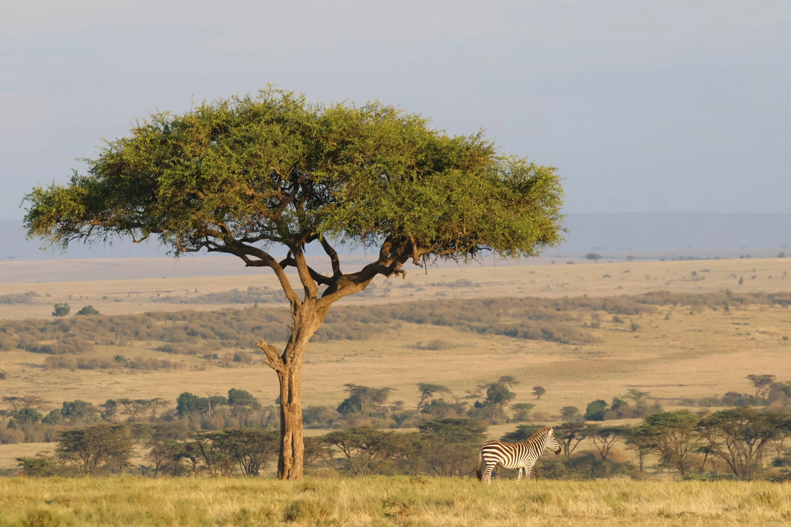 Kenyan Adventure : Top Tips