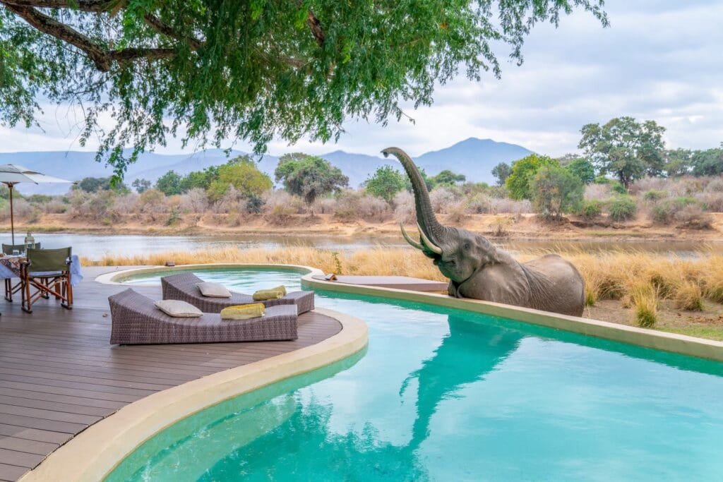 Exclusive-use safari, Chongwe River House 