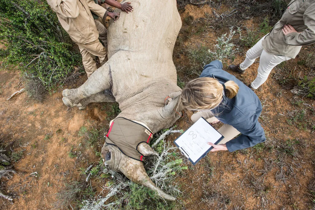 Active Conservation