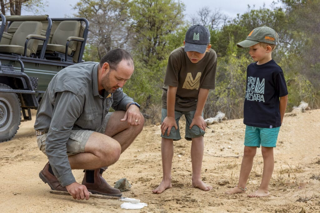 Family Safari