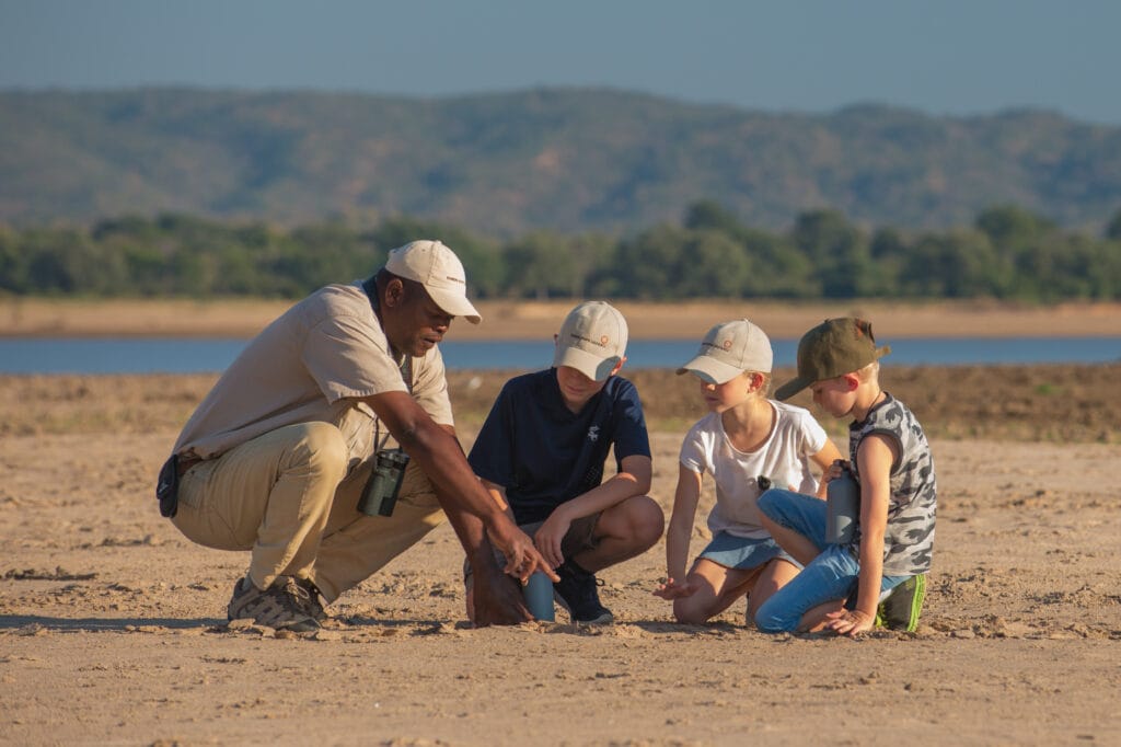 Family Safari