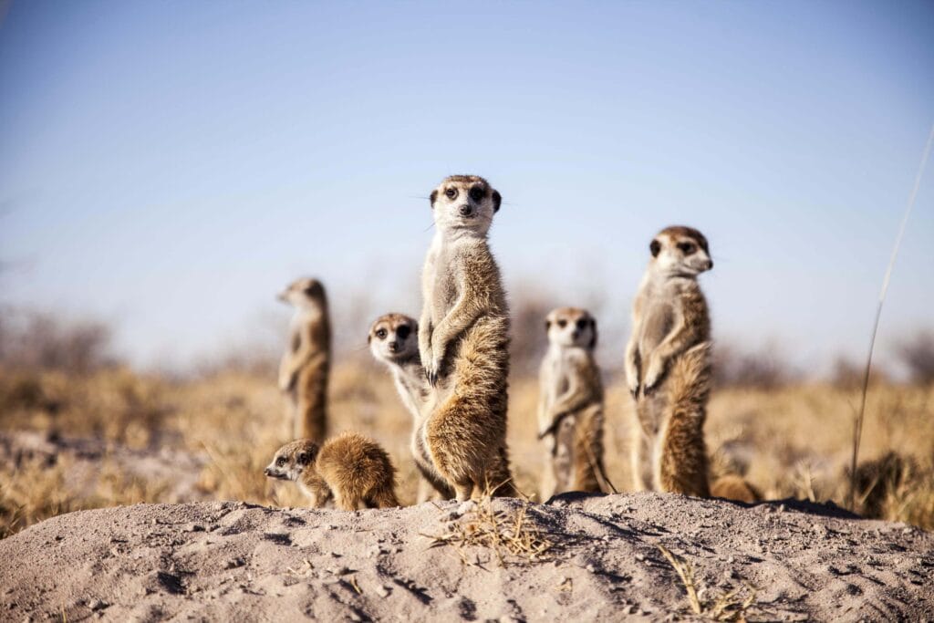 Botswana