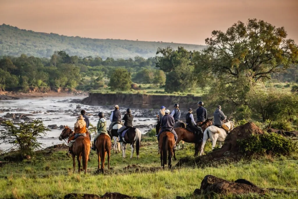 Riding Safari