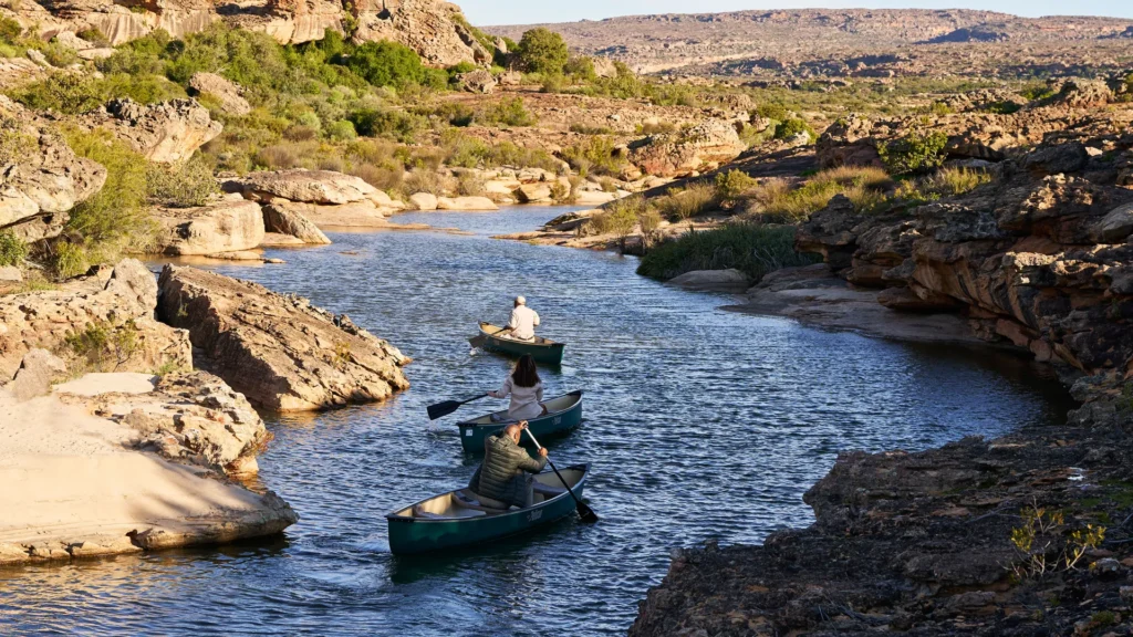 South Africa : From Wilderness to Wine Country