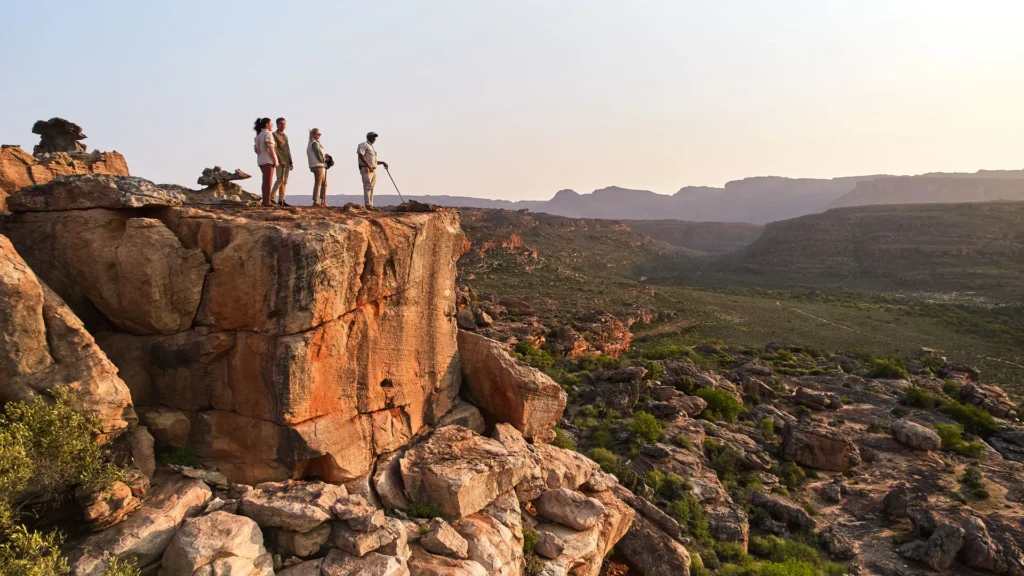 South Africa : From Wilderness to Wine Country