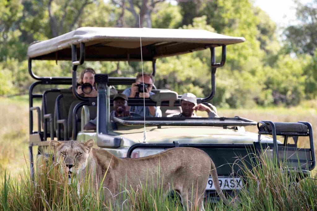 Linyanti and Chobe, Botswana, Ganders Travel 