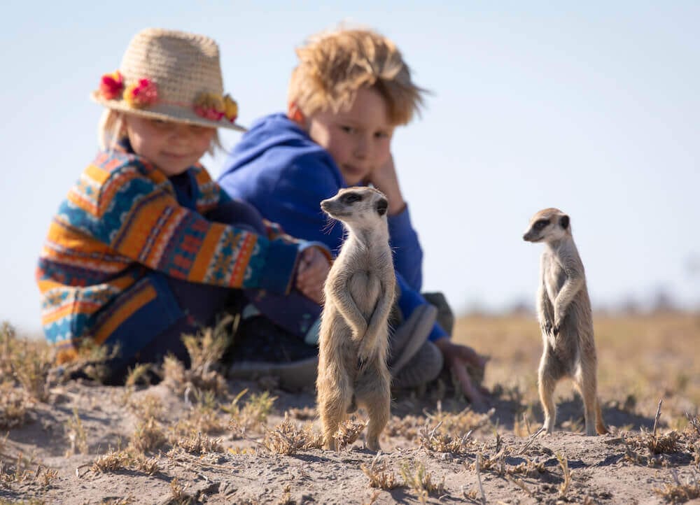 Meerkats, Makgadikgadi Pans, Botswana, Ganders Travel