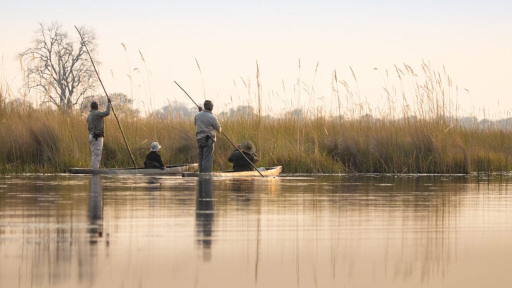 Okavango Delta, Botswana, Ganders Travel