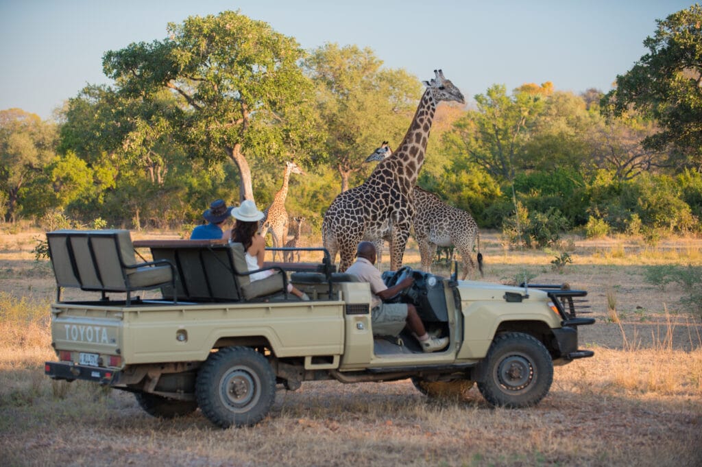 Zambia, South Luangwa Valley, Robin Pope Safaris, Ganders Travel 
