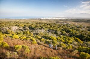 Grootbos, Garden Route, South Africa, Ganders Travel