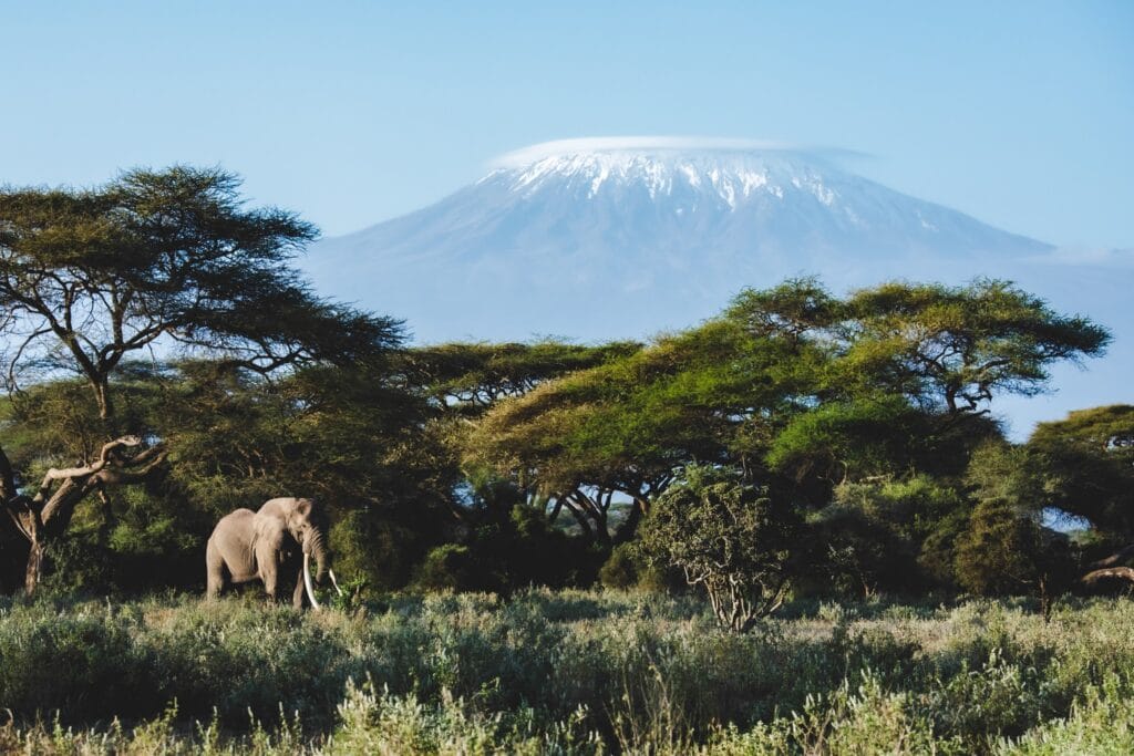 Amboseli, Ganders Travel