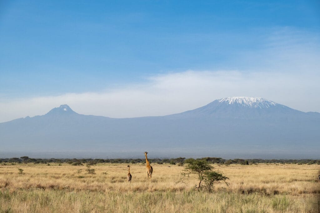 Amboseli, Ganders Travel