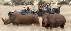 Kenya, Lewa Wilderness, Ganders Travel