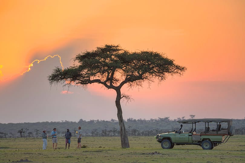 Masai Mara, Kenya, Ganders Travel