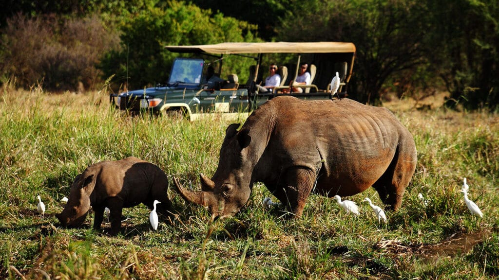 Meru National Park, Kenya, Ganders Travel 