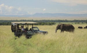 Kenya, Angama Mara, Masai Mara, Ganders Travel