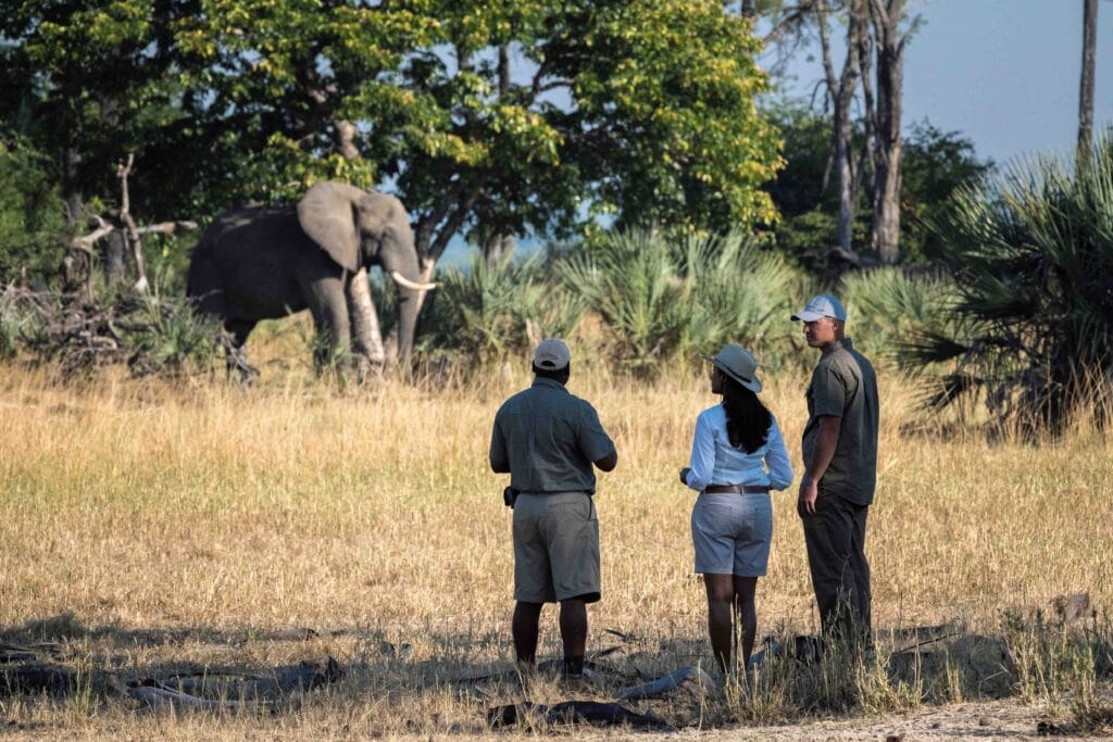 Liwonde National Park, Malawi, Ganders Travel 