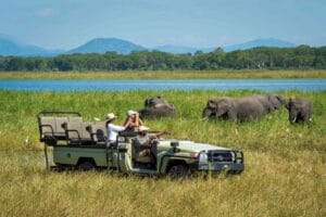Liwonde Natonal Park, Malawi, Ganders Travel