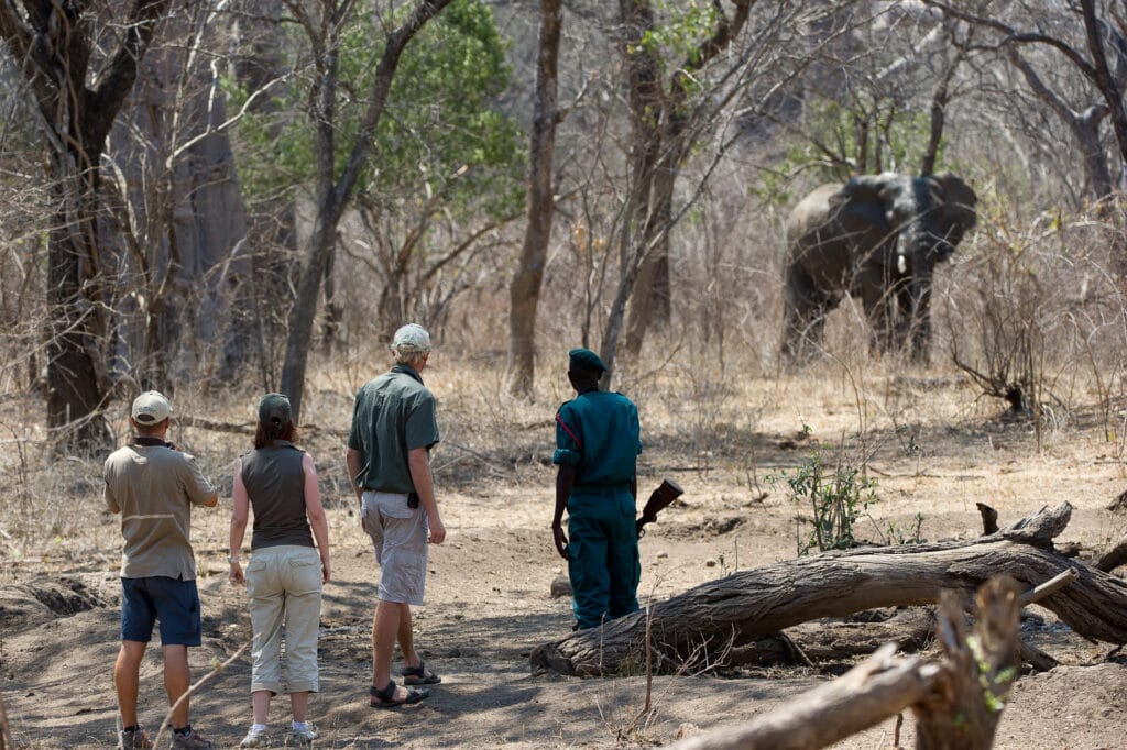 Majete Wildlife Reserve, Malawi, Ganders Travel