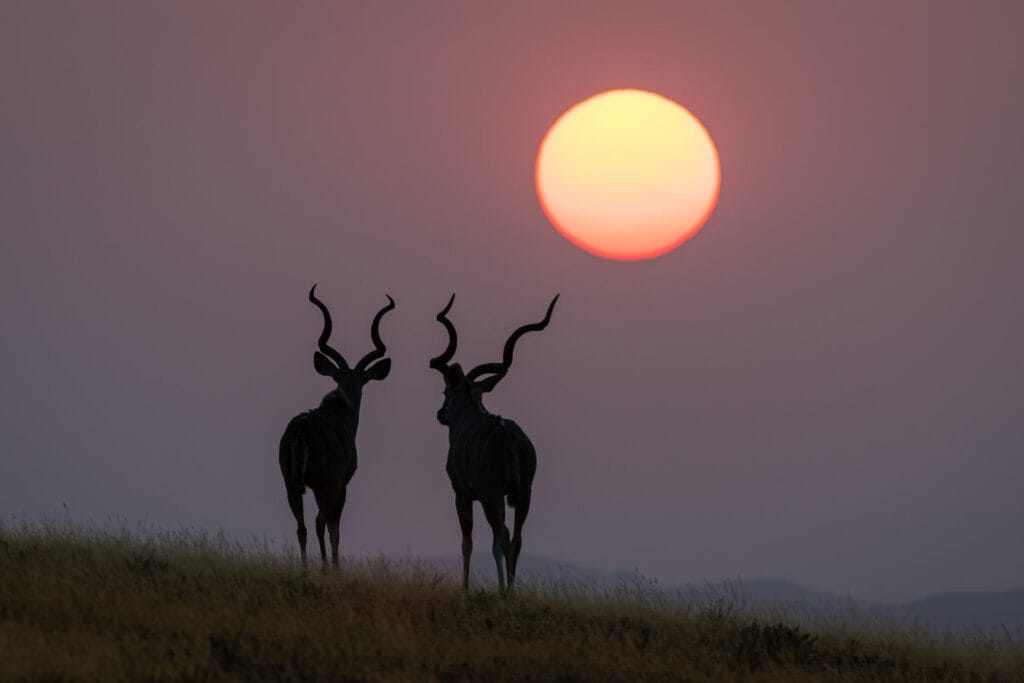 Damaraland, Damaraland Camp, Namibia, Ganders Travel