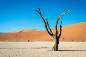 Kulala Desert Lodge, Sossusvlei, Namibia, Ganders Travel
