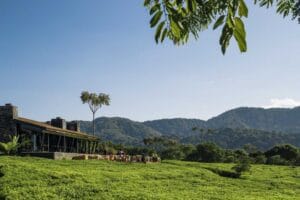 One & Only Nyungwe House, Rwanda, Ganders Travel