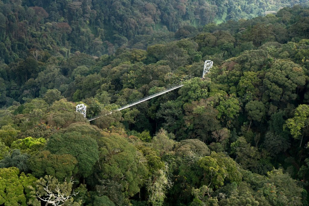 One & Only Nyungwe House, Rwanda, Ganders Travel