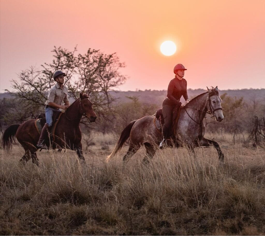 Ant's Nest, Waterberg, South Africa, Ganders Travel 