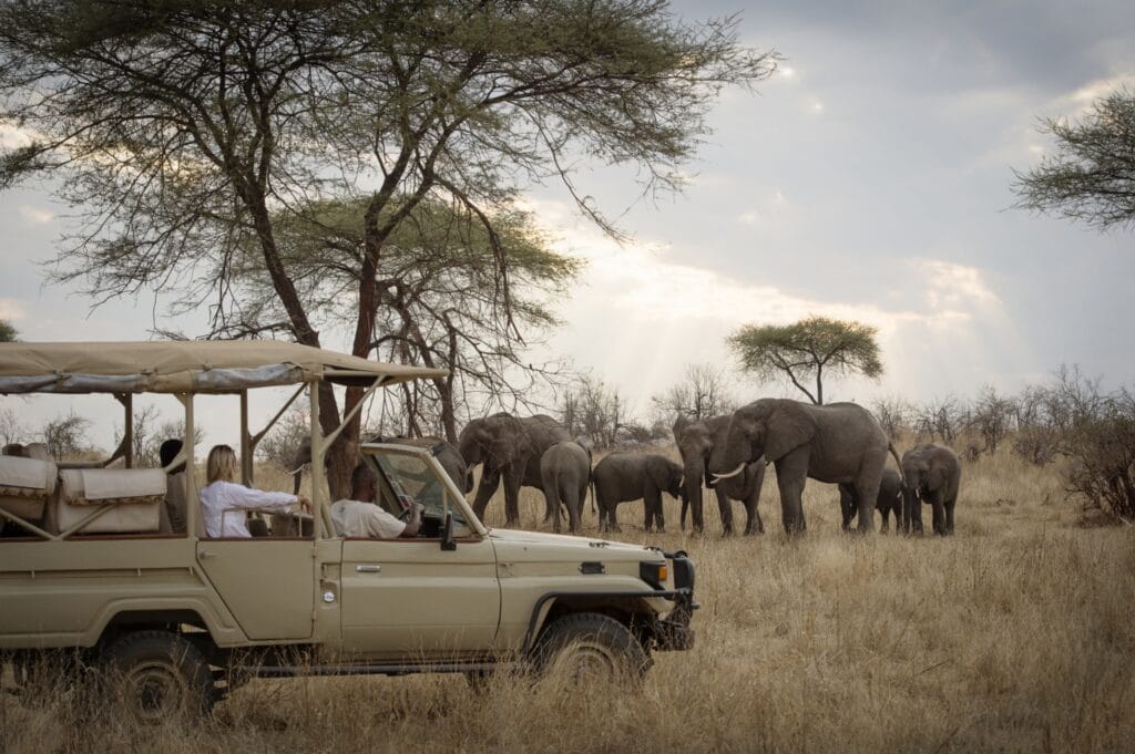 Kigelia Camp, Ruaha, Tanzania, Ganders Travel 