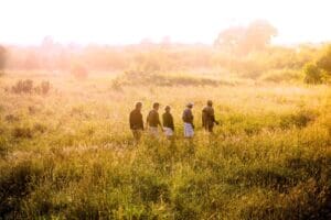 Zambia Kafue National Park Ila Camp 1 - Ganders Travel