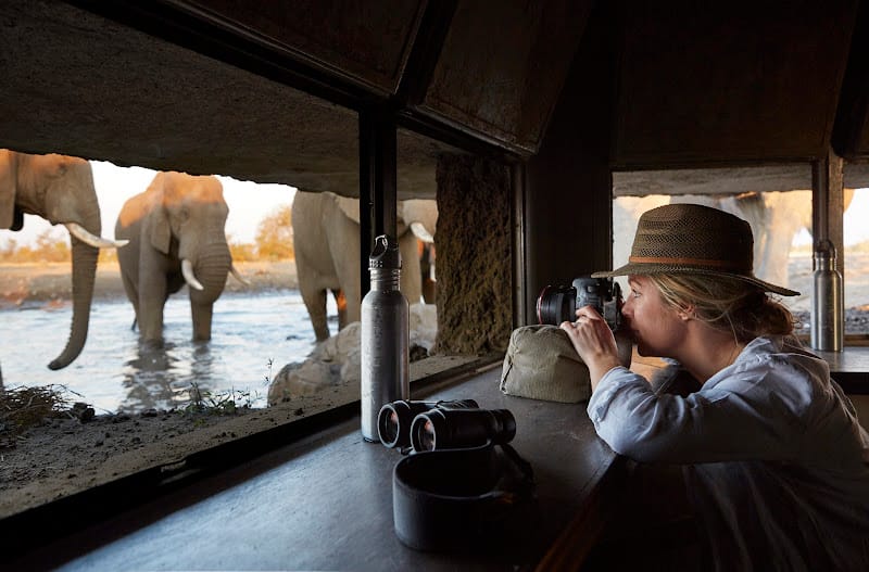 Singita Pamushana, Malilangwe National Park, Zimbabwe, Ganders Travel 